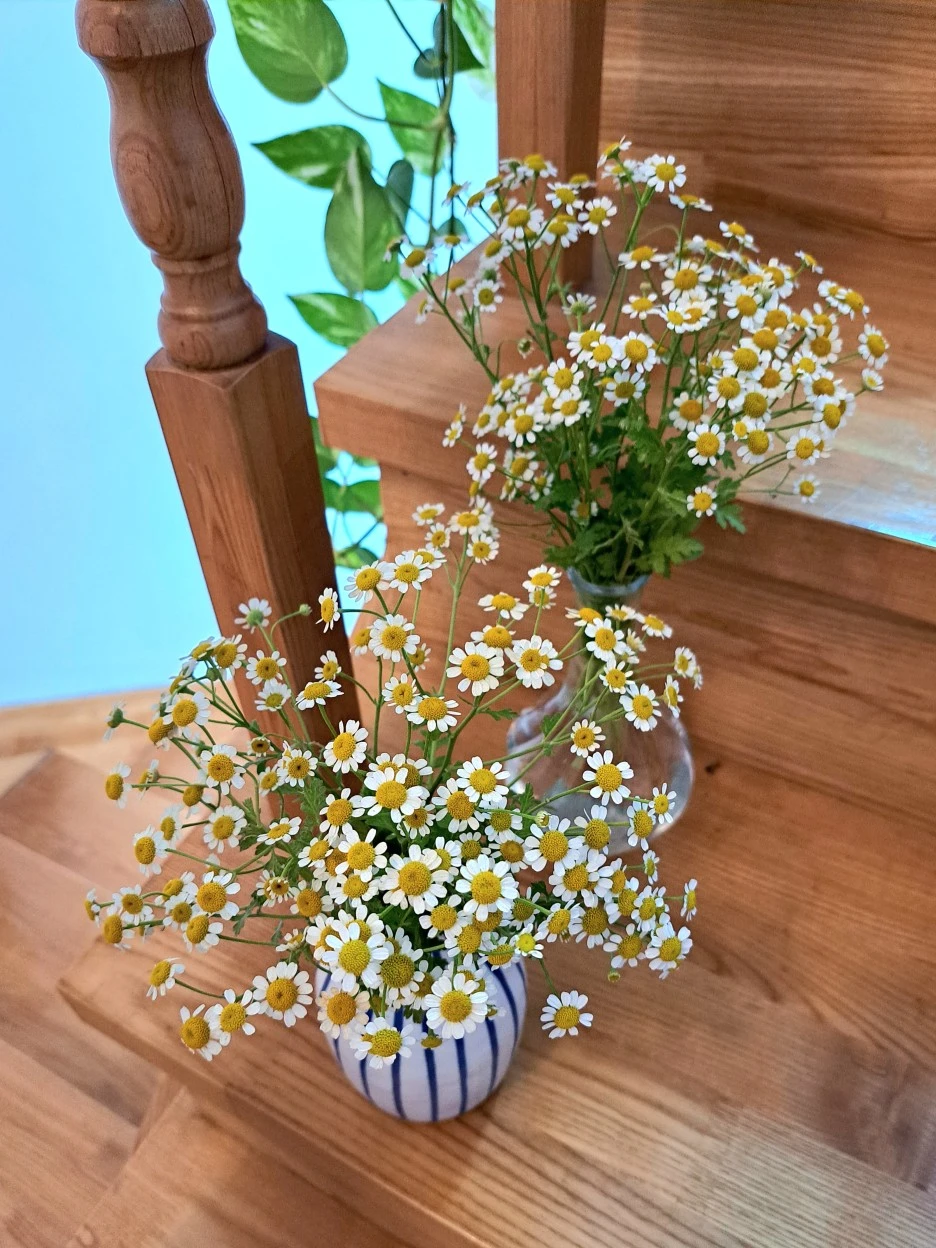 20220703_115407.jpg?type=w1