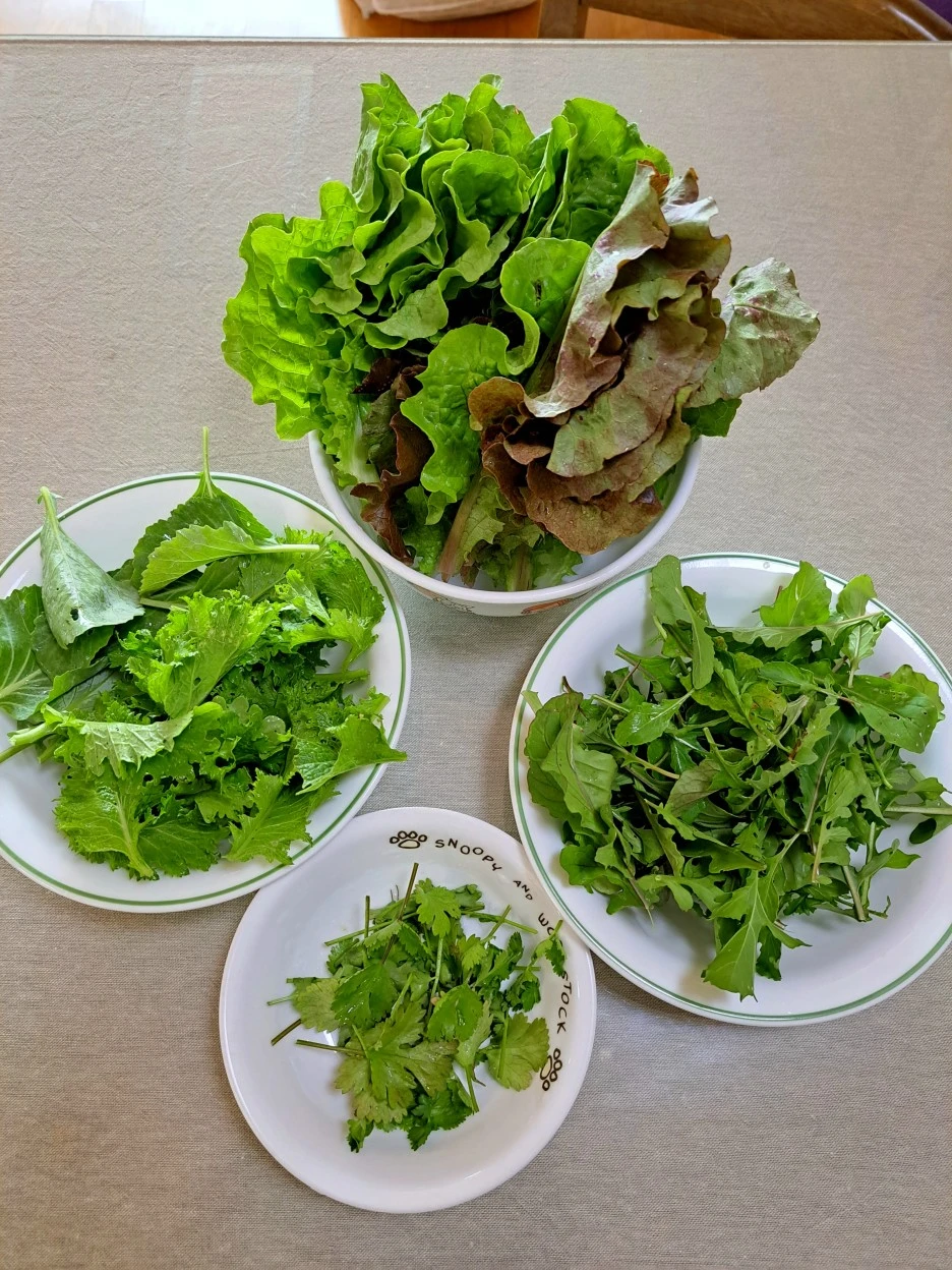 20230520_122048.jpg?type=w1