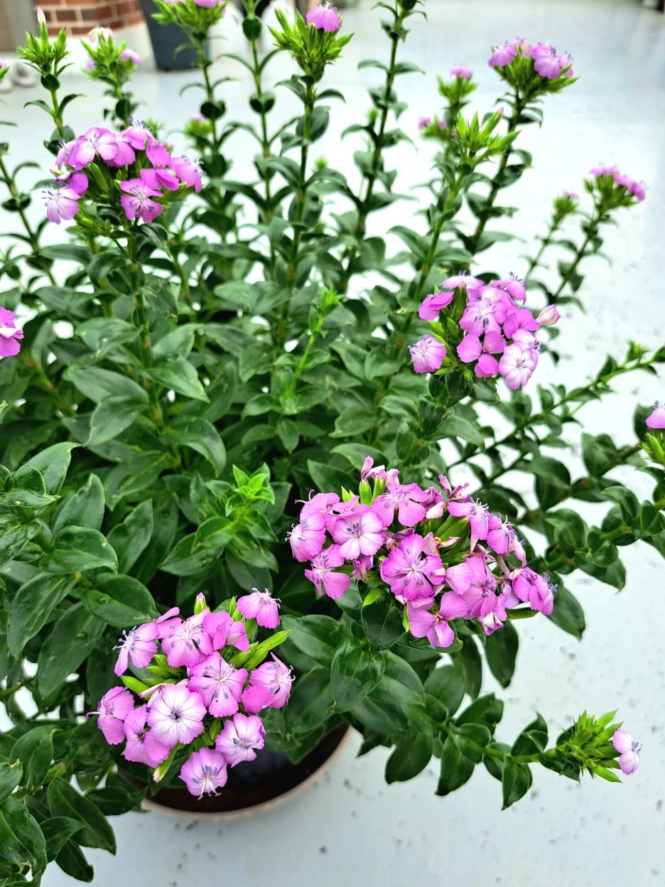 20220727_103327.jpg?type=w1