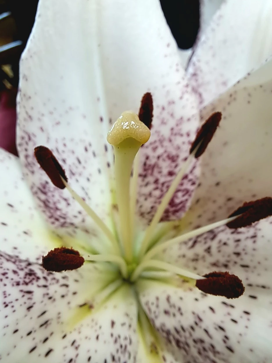 20220612_143632.jpg?type=w1