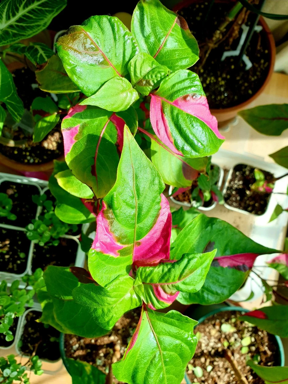 20210215_114845.jpg?type=w1