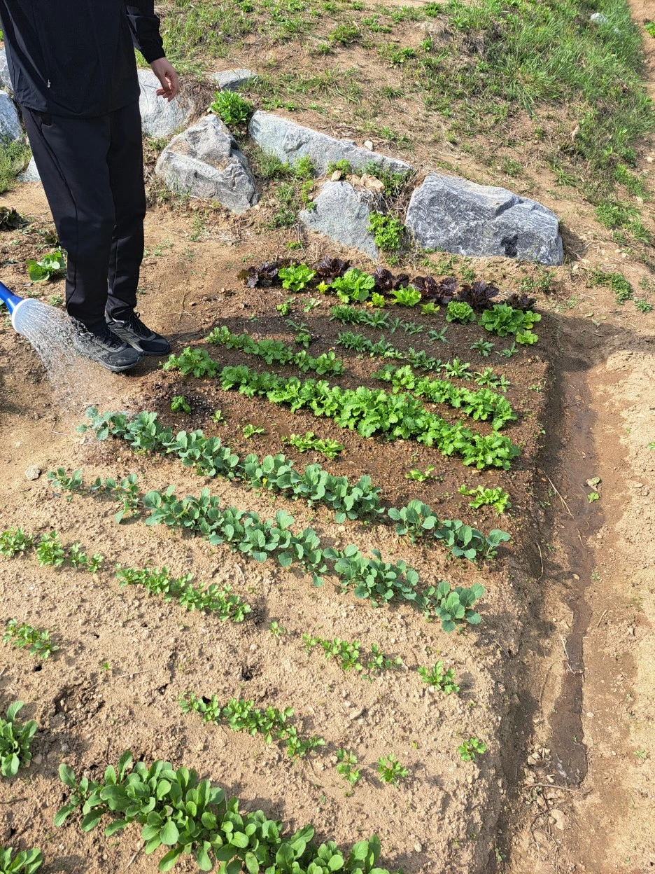 20230503_160615.jpg?type=w1