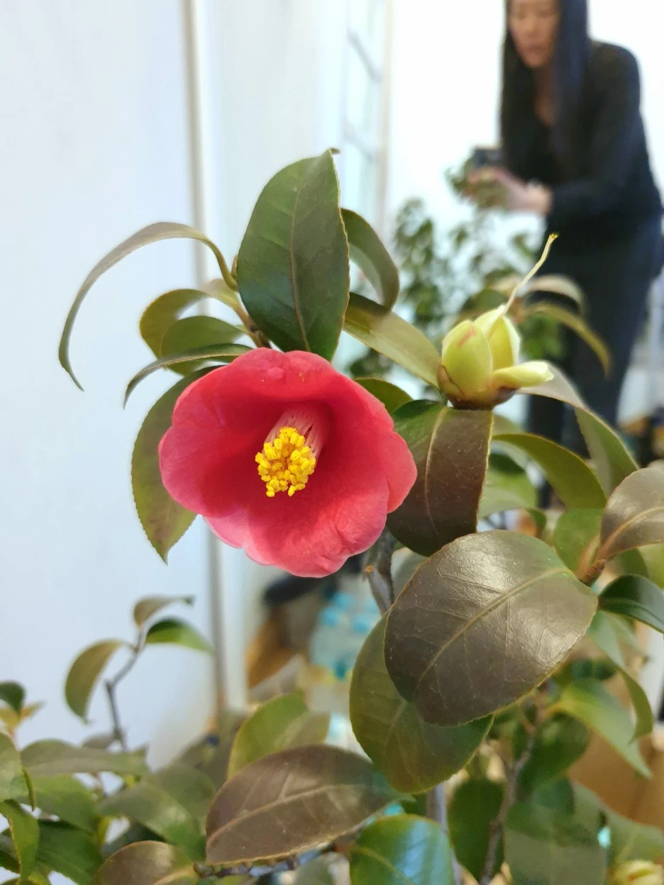 20220311_082216.jpg?type=w1