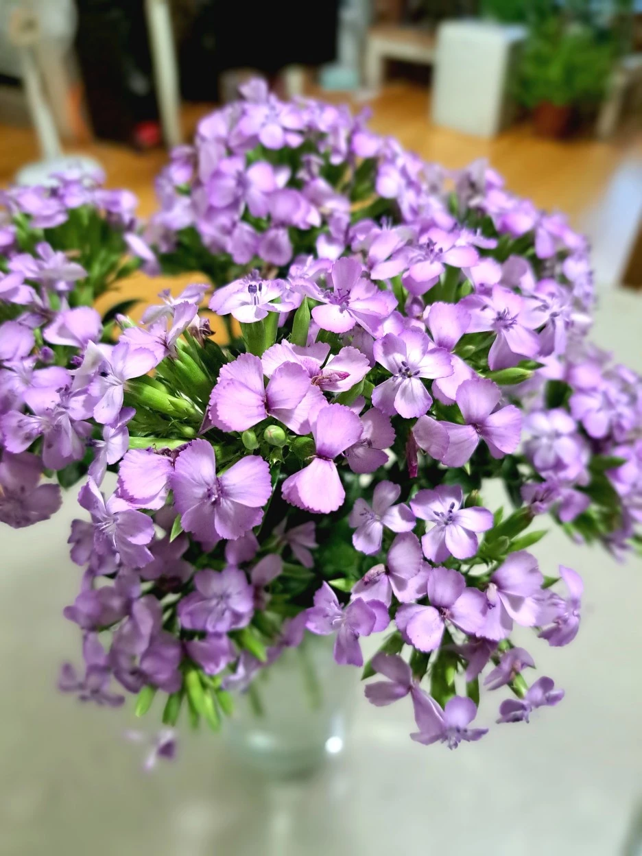 20220807_185002.jpg?type=w1