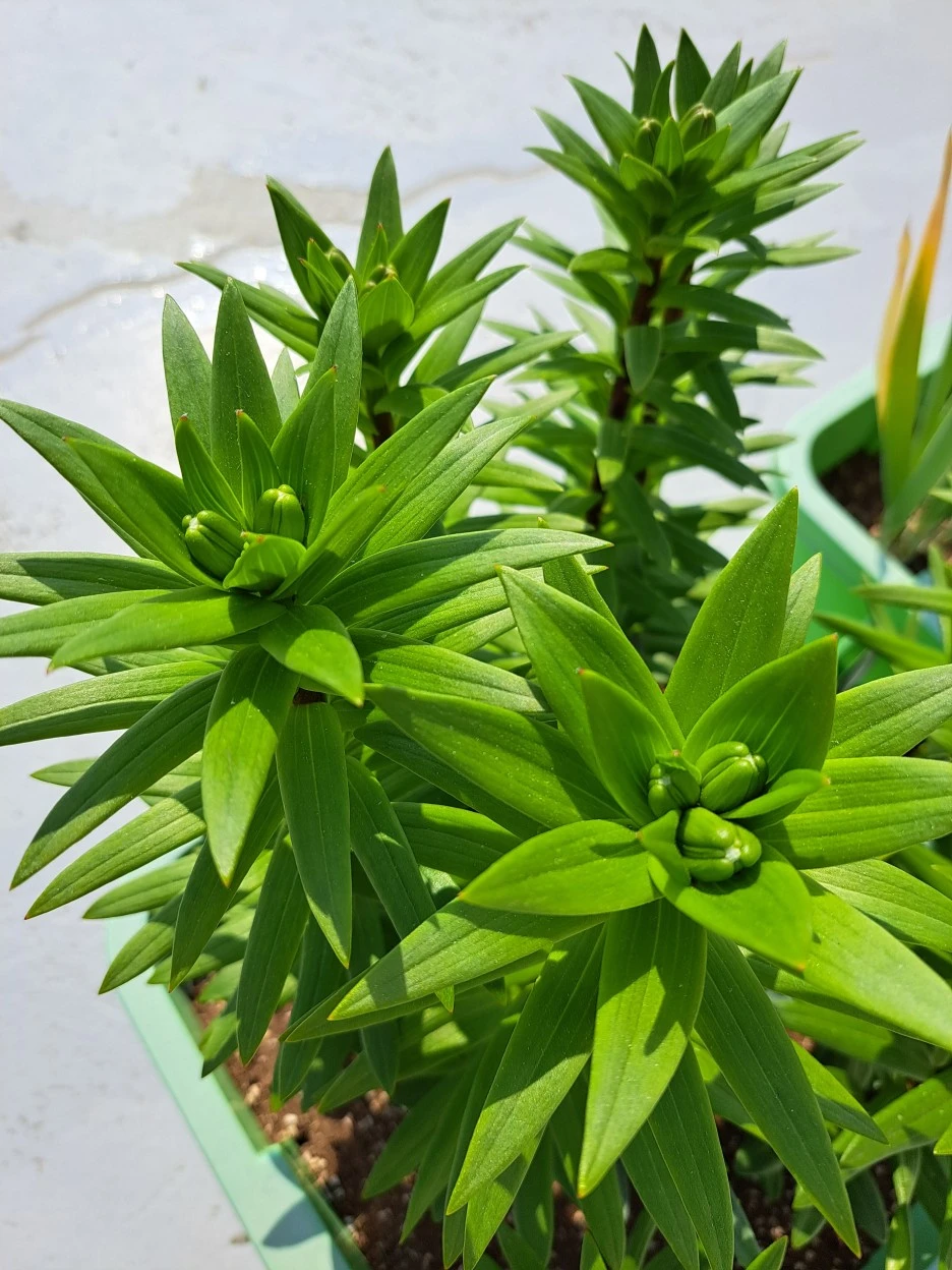 20220517_094730.jpg?type=w1