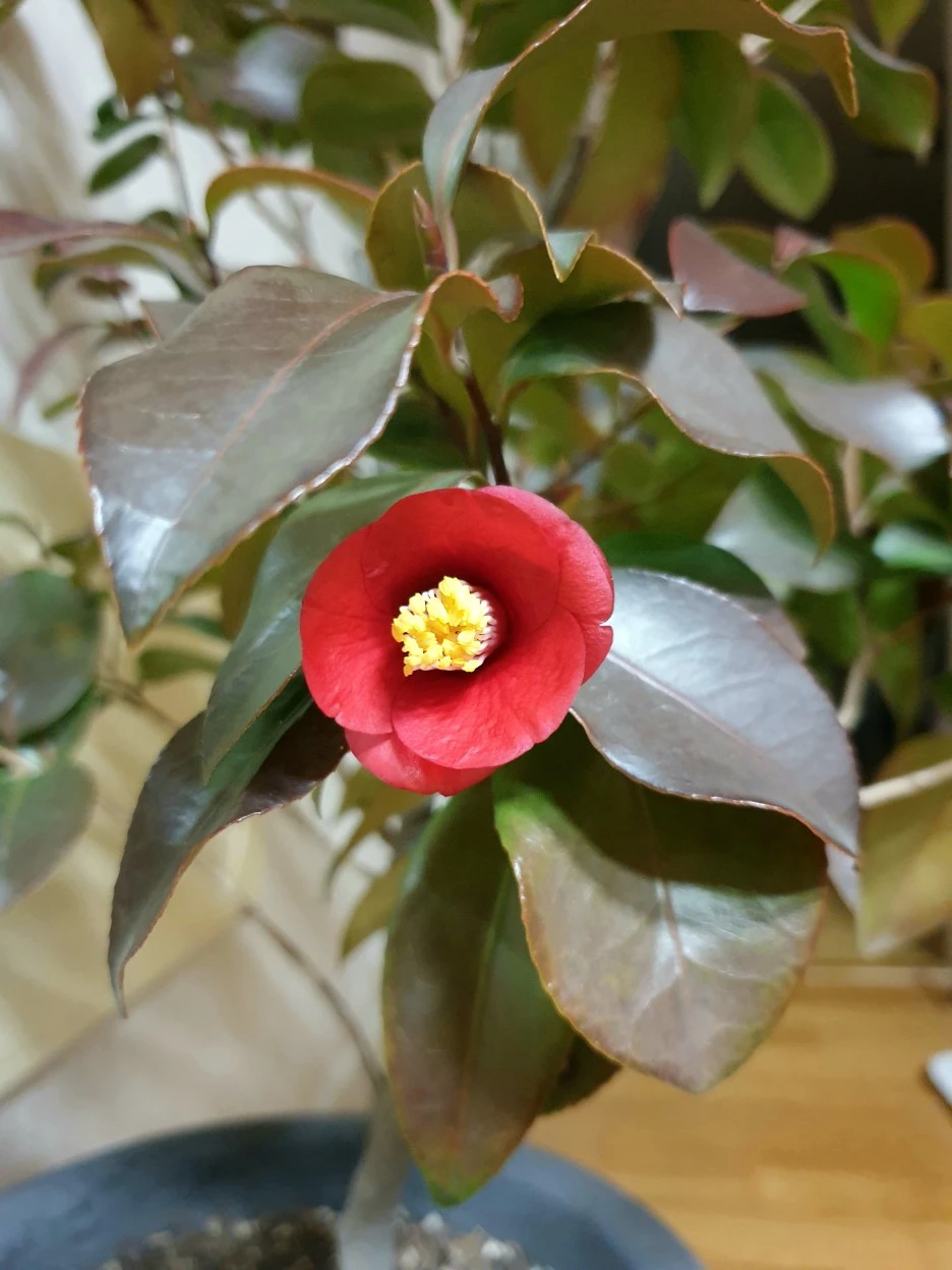 20220105_232934.jpg?type=w1