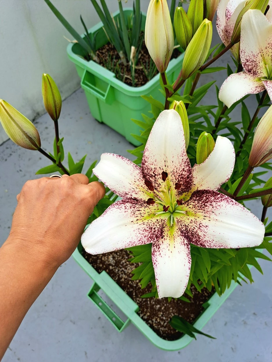 20220609_115248.jpg?type=w1