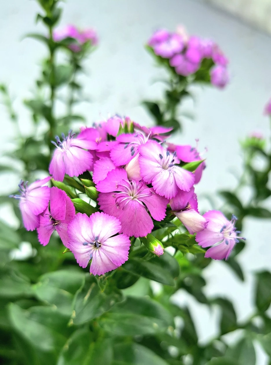 20220727_103401.jpg?type=w1