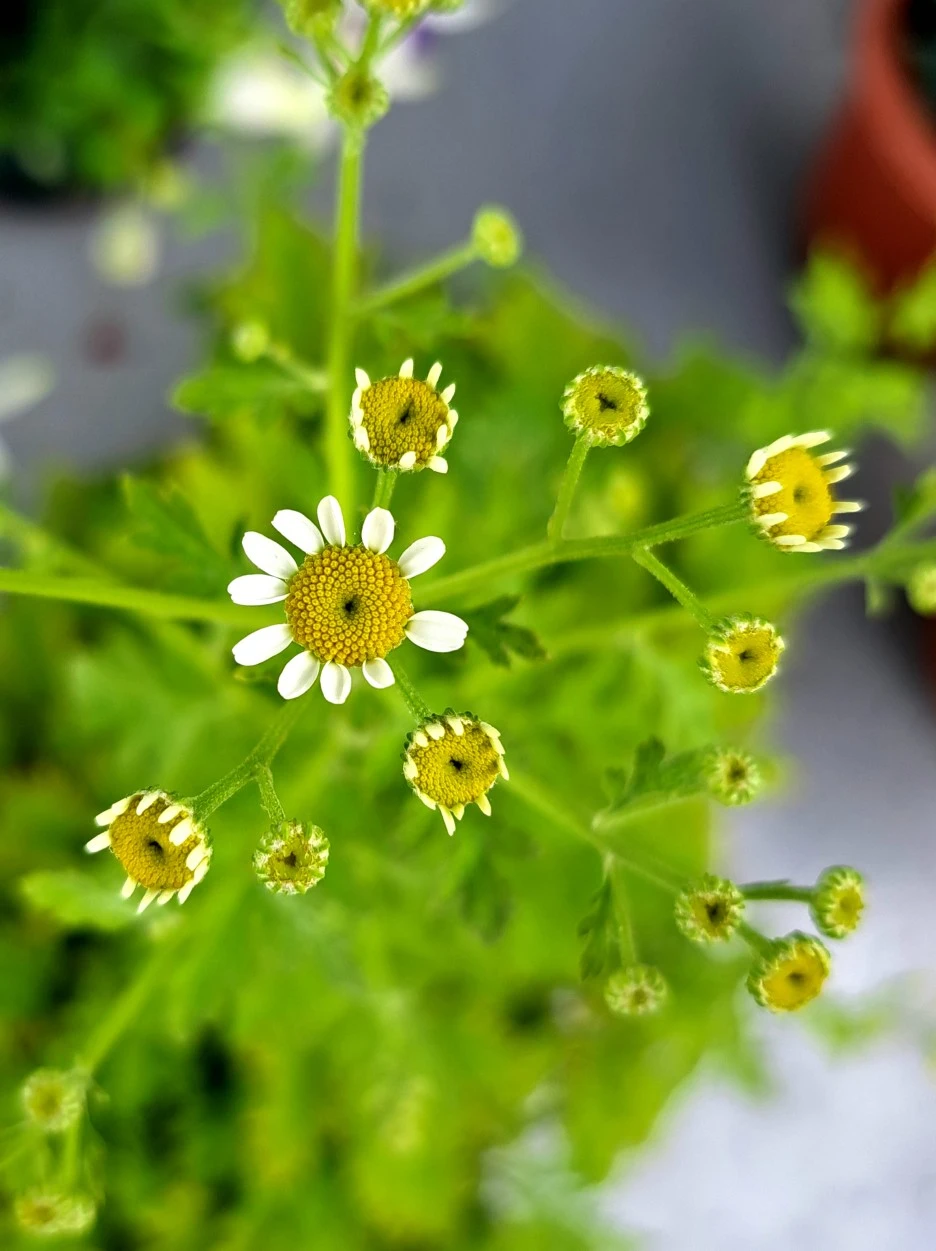 20220617_161716.jpg?type=w1