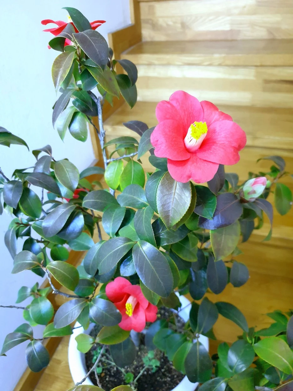 20220227_150526.jpg?type=w1