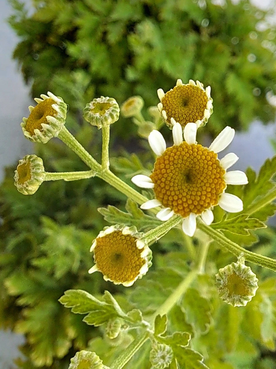 20220613_100943.jpg?type=w1