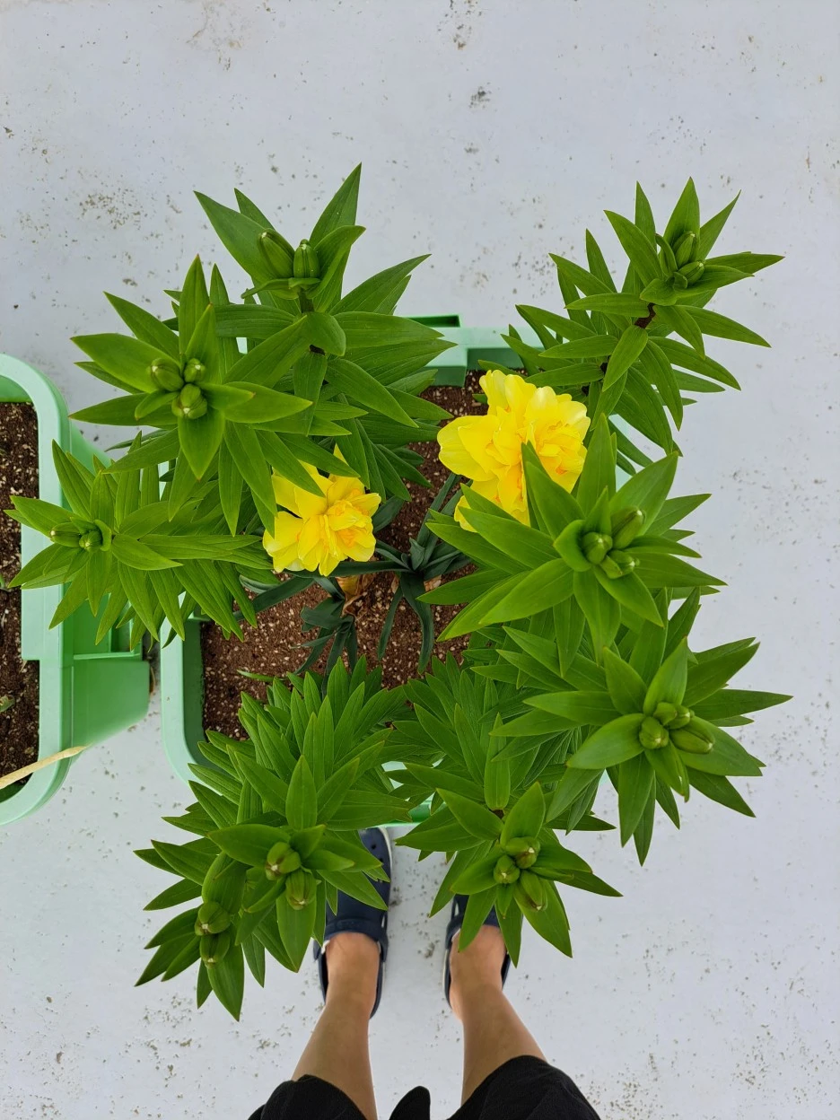 20220521_092821.jpg?type=w1