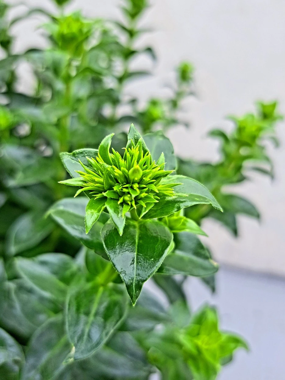 20220705_082113.jpg?type=w1