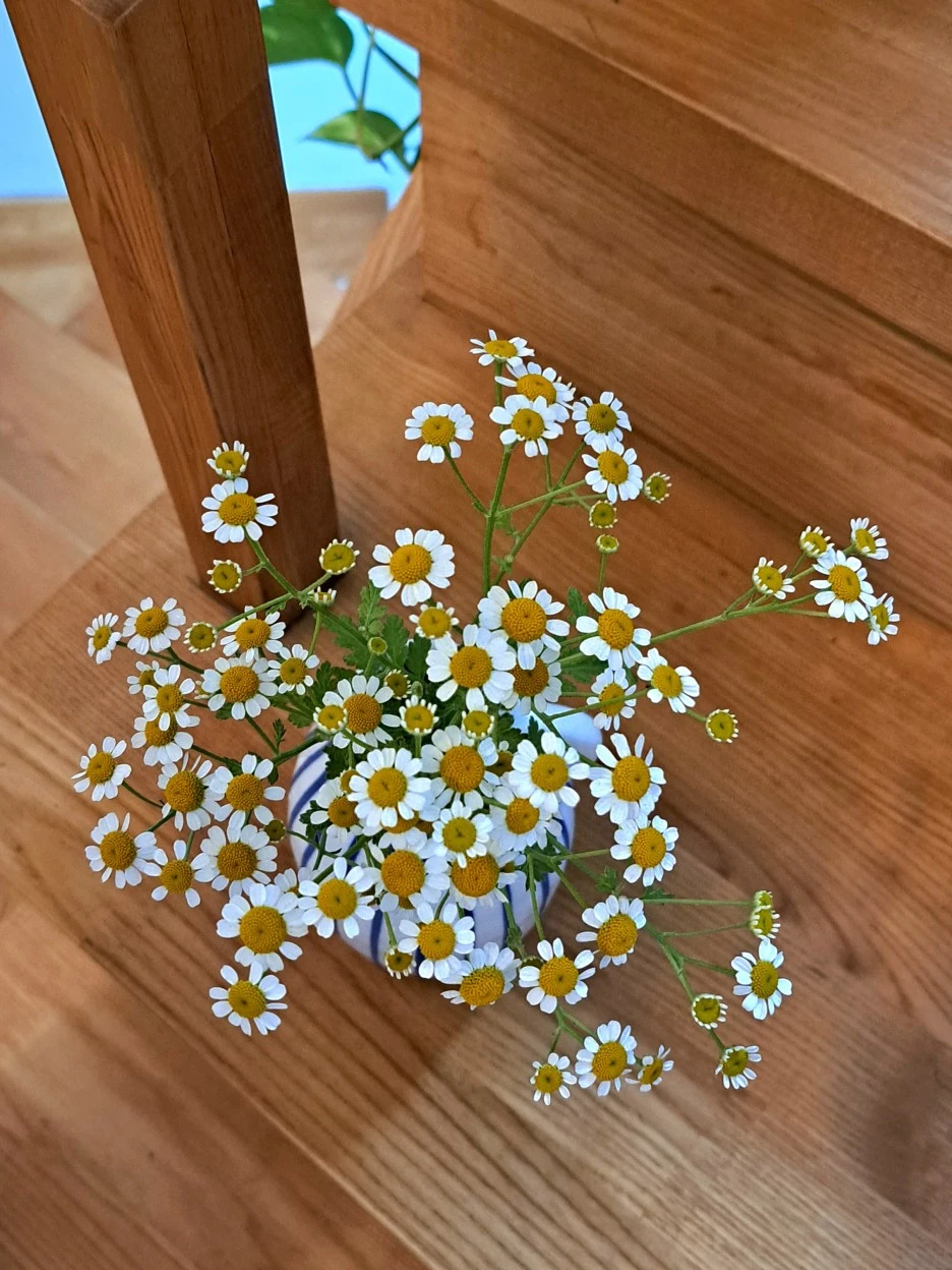 20220623_085353.jpg?type=w1