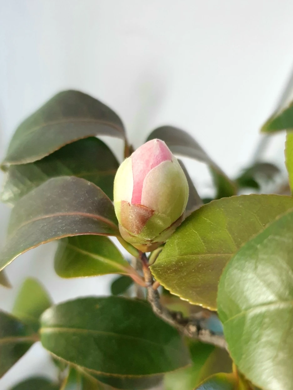 20220217_102211.jpg?type=w1