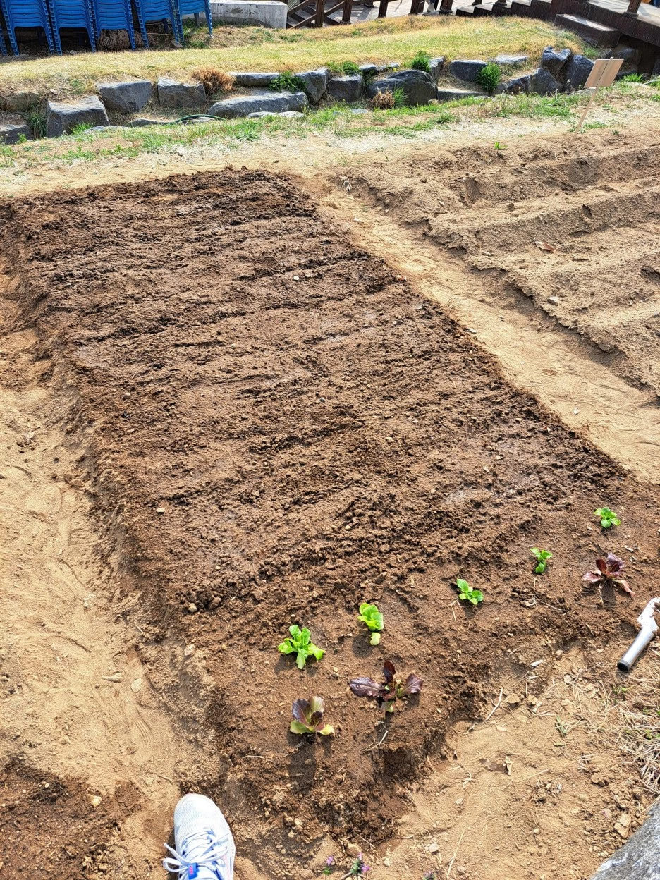 20230401_150756.jpg?type=w1