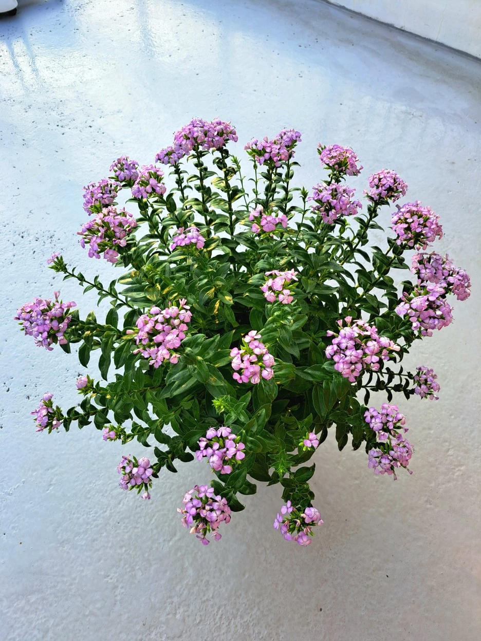 20220804_181605.jpg?type=w1