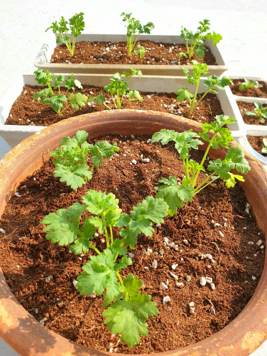 20220322_161303.jpg?type=w1