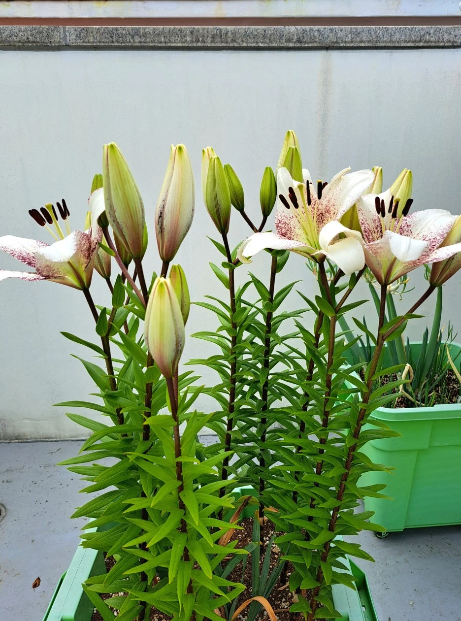 20220609_115824.jpg?type=w1