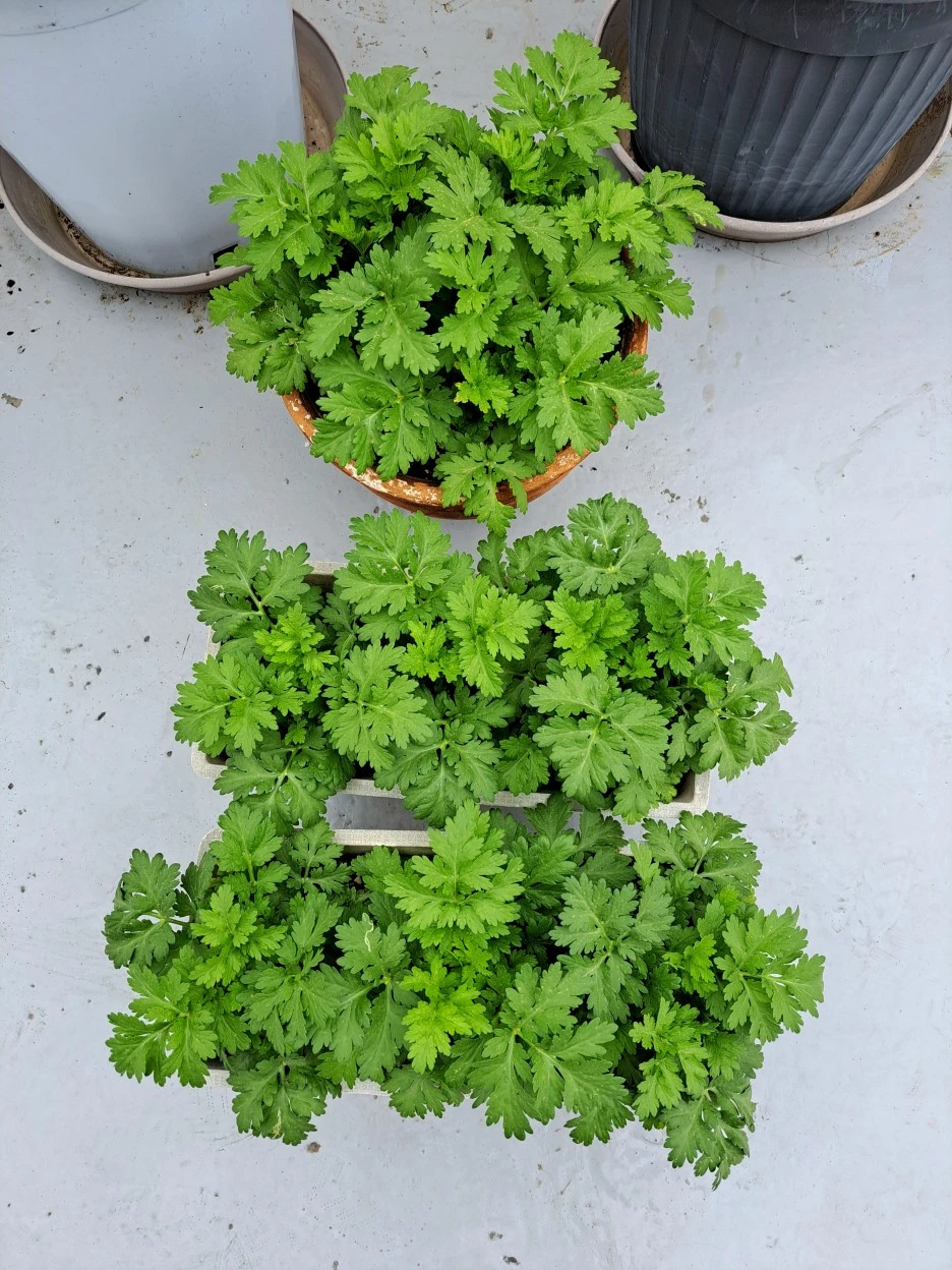 20220429_172423.jpg?type=w1