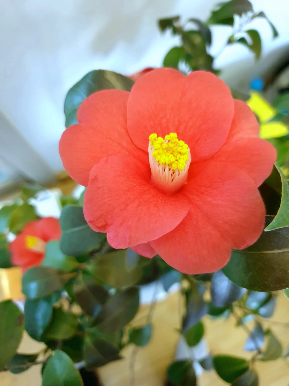 20220227_150700.jpg?type=w1