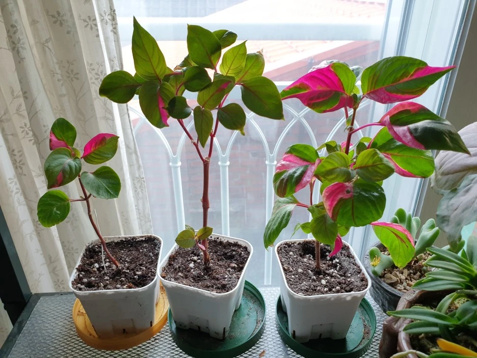 20201027_155222.jpg?type=w1