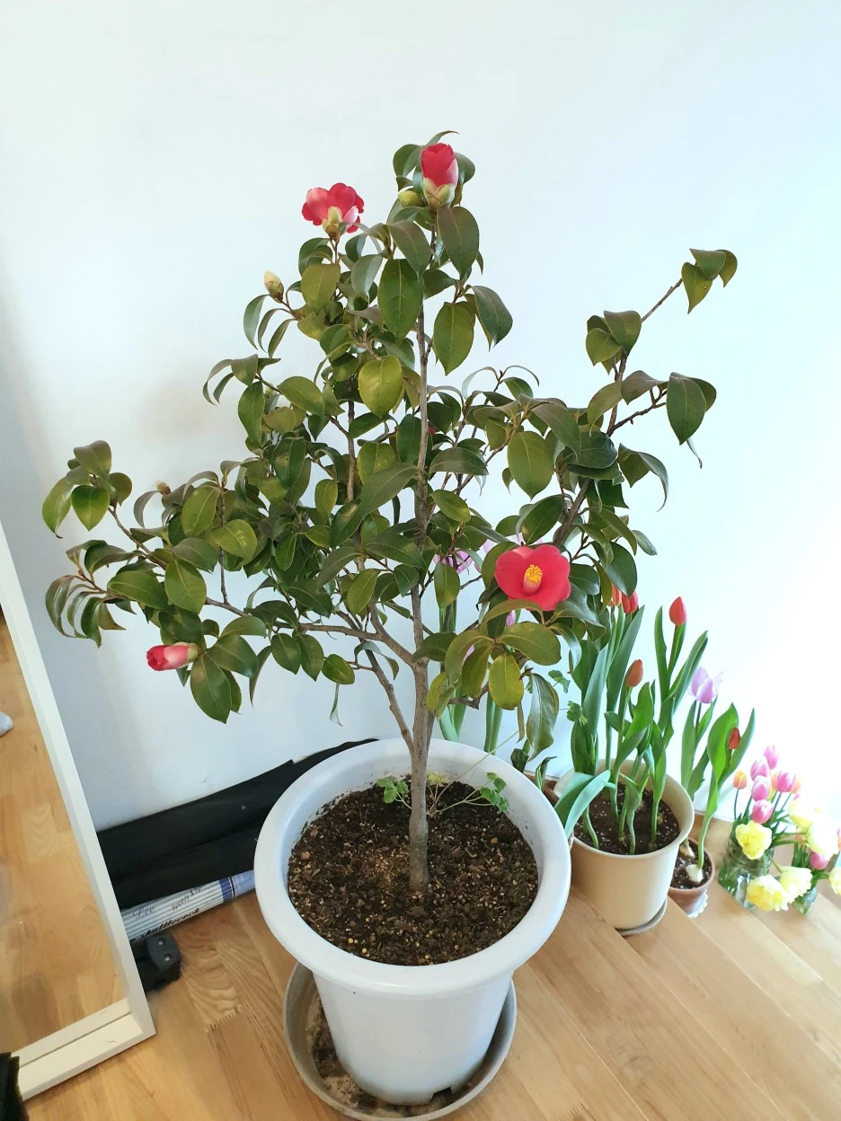 20220223_102853.jpg?type=w1