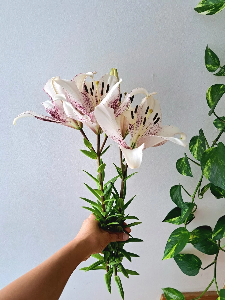 20220611_113926.jpg?type=w1