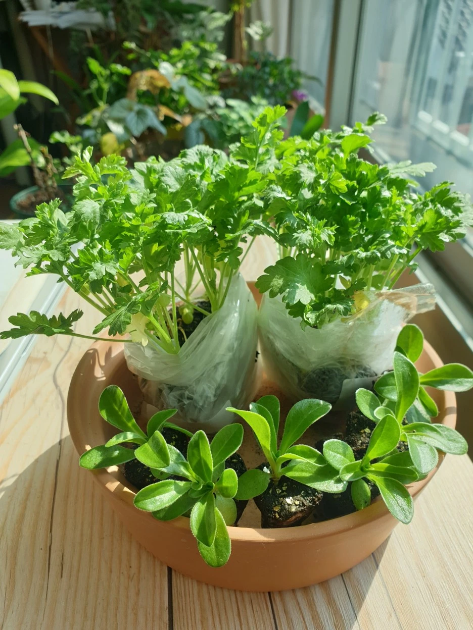 20220322_102412.jpg?type=w1