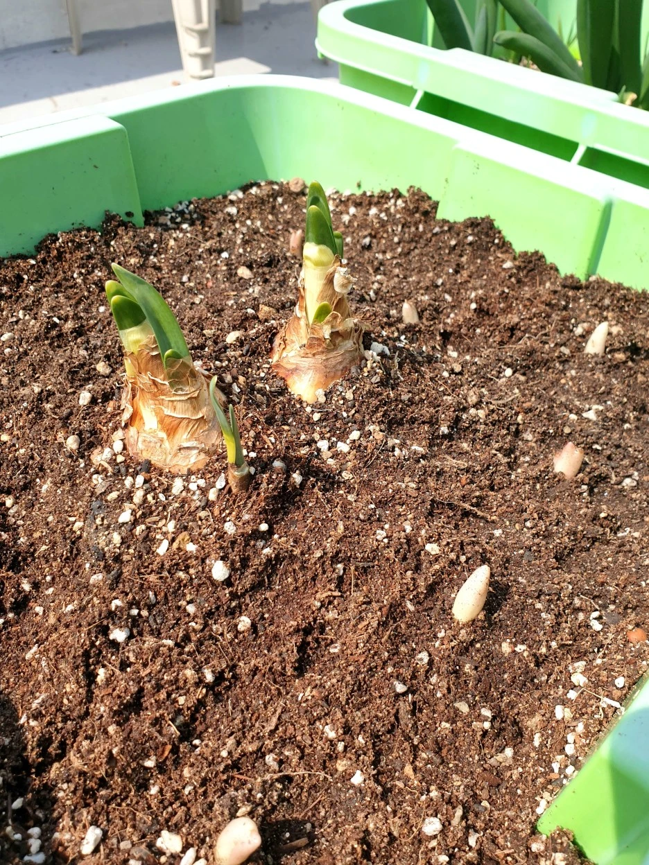 20220327_132046.jpg?type=w1