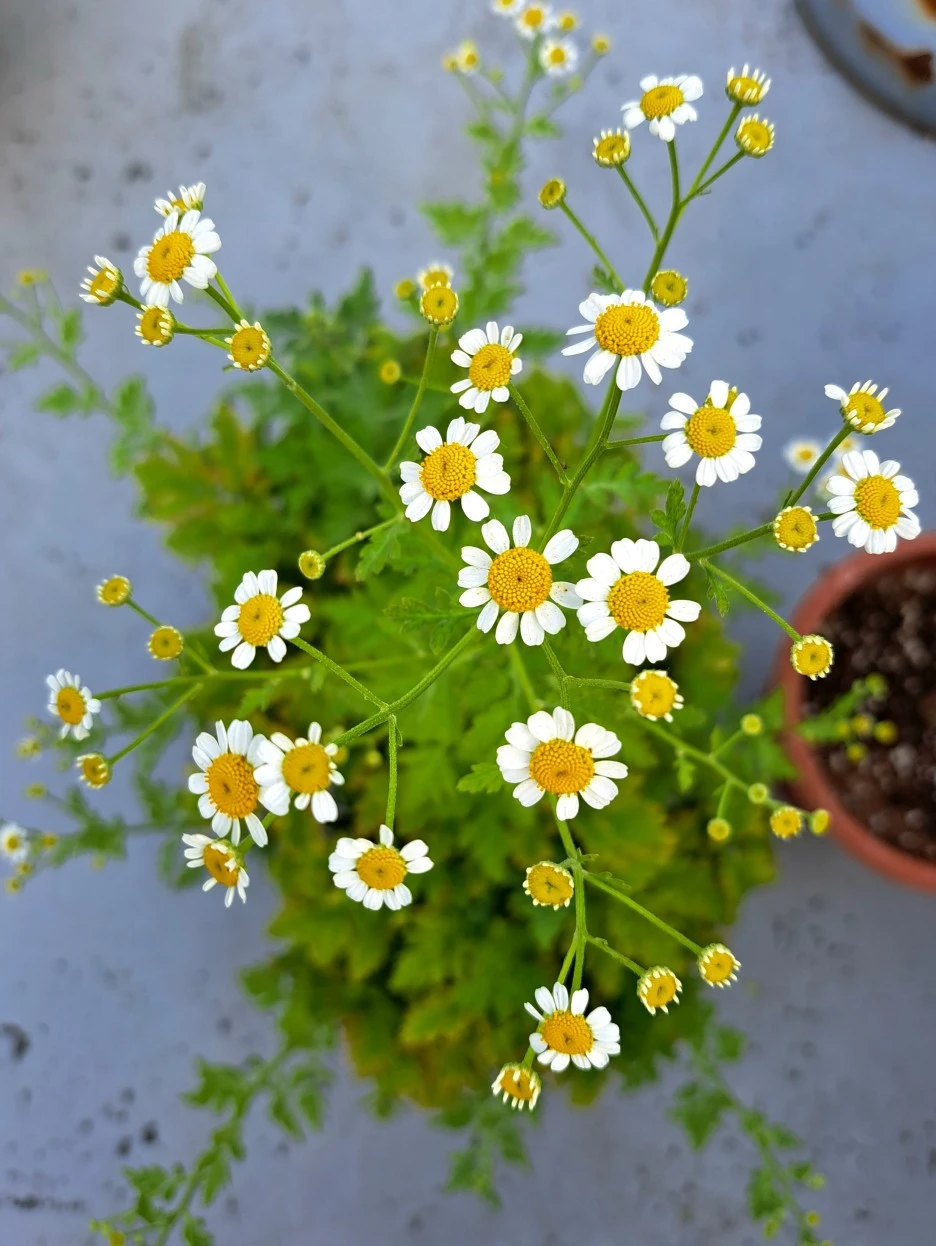 20220622_171837.jpg?type=w1