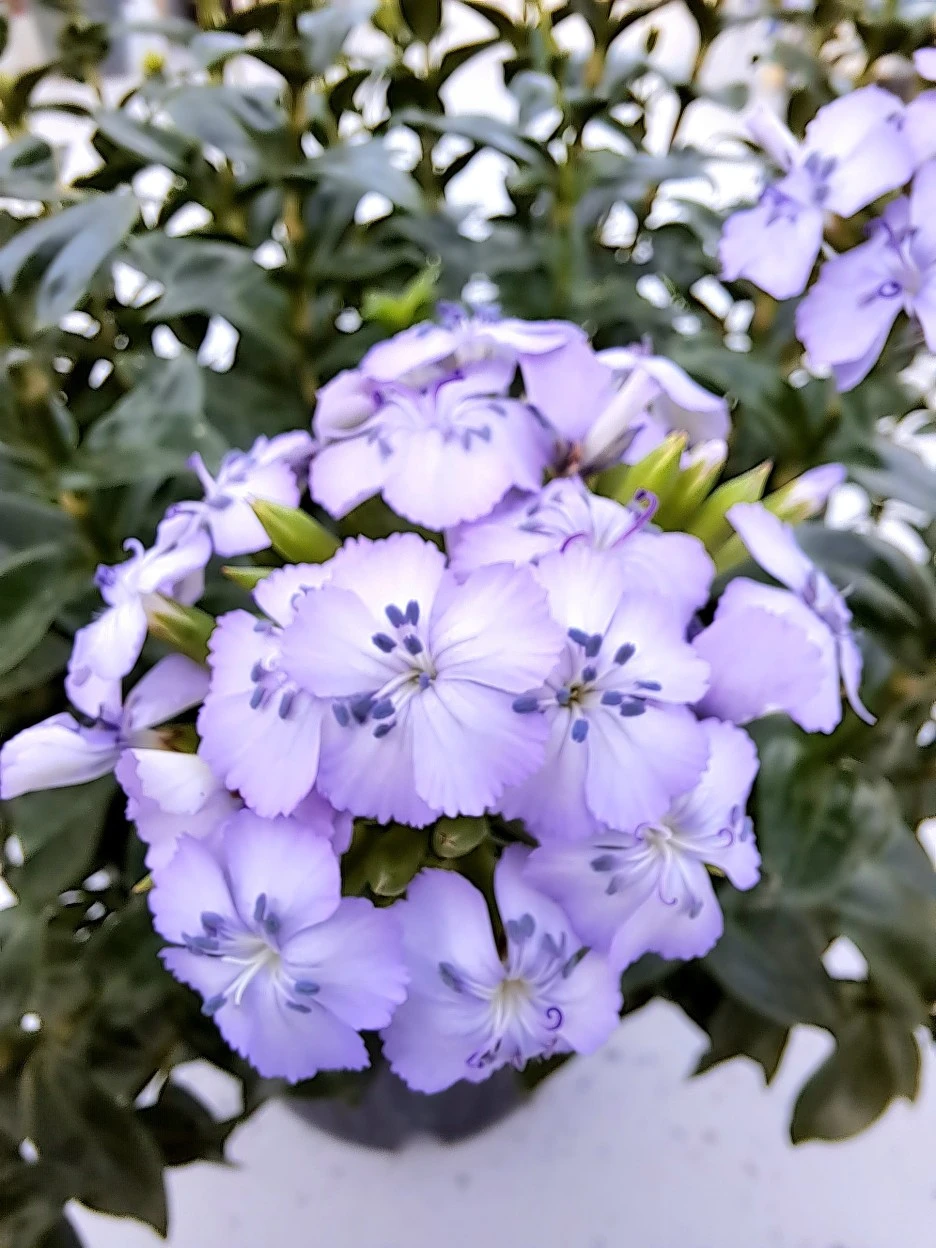 20220729_182023.jpg?type=w1