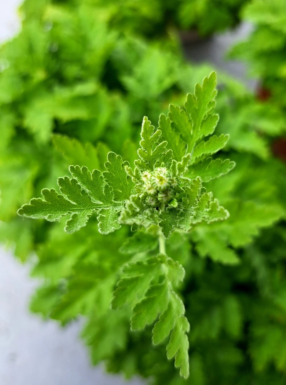 20220604_132038.jpg?type=w1