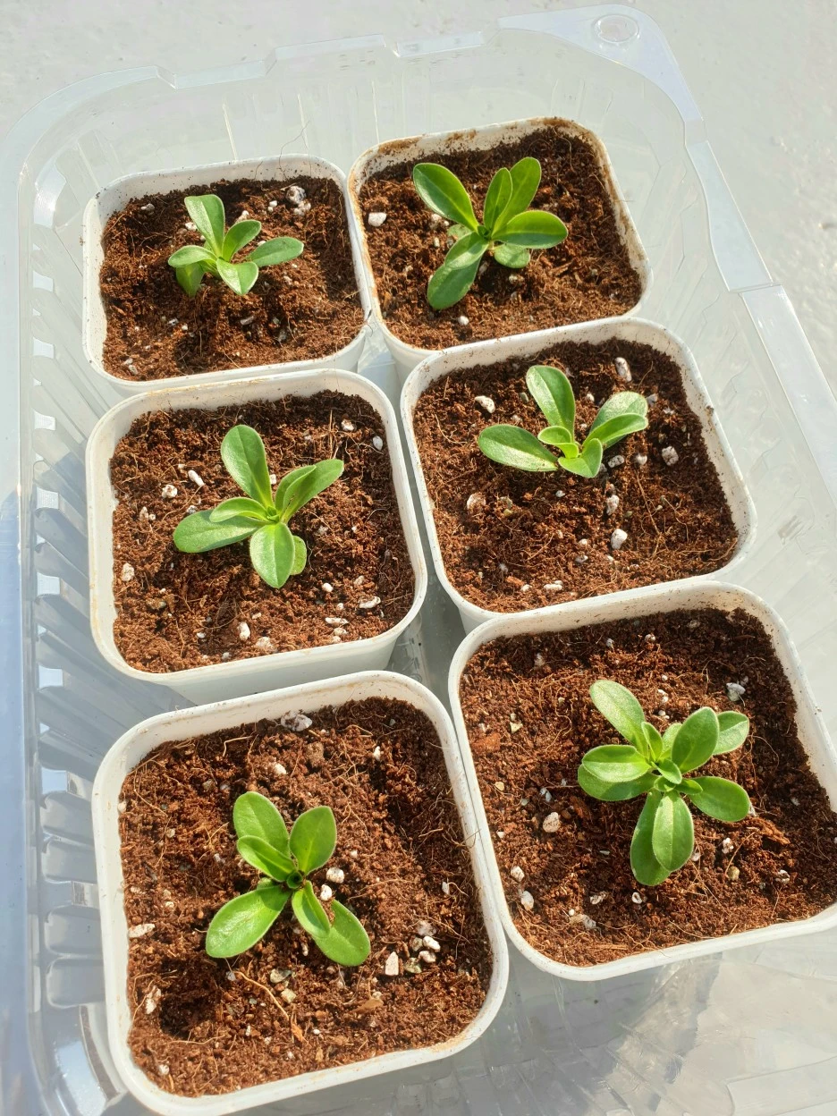 20220322_161227.jpg?type=w1