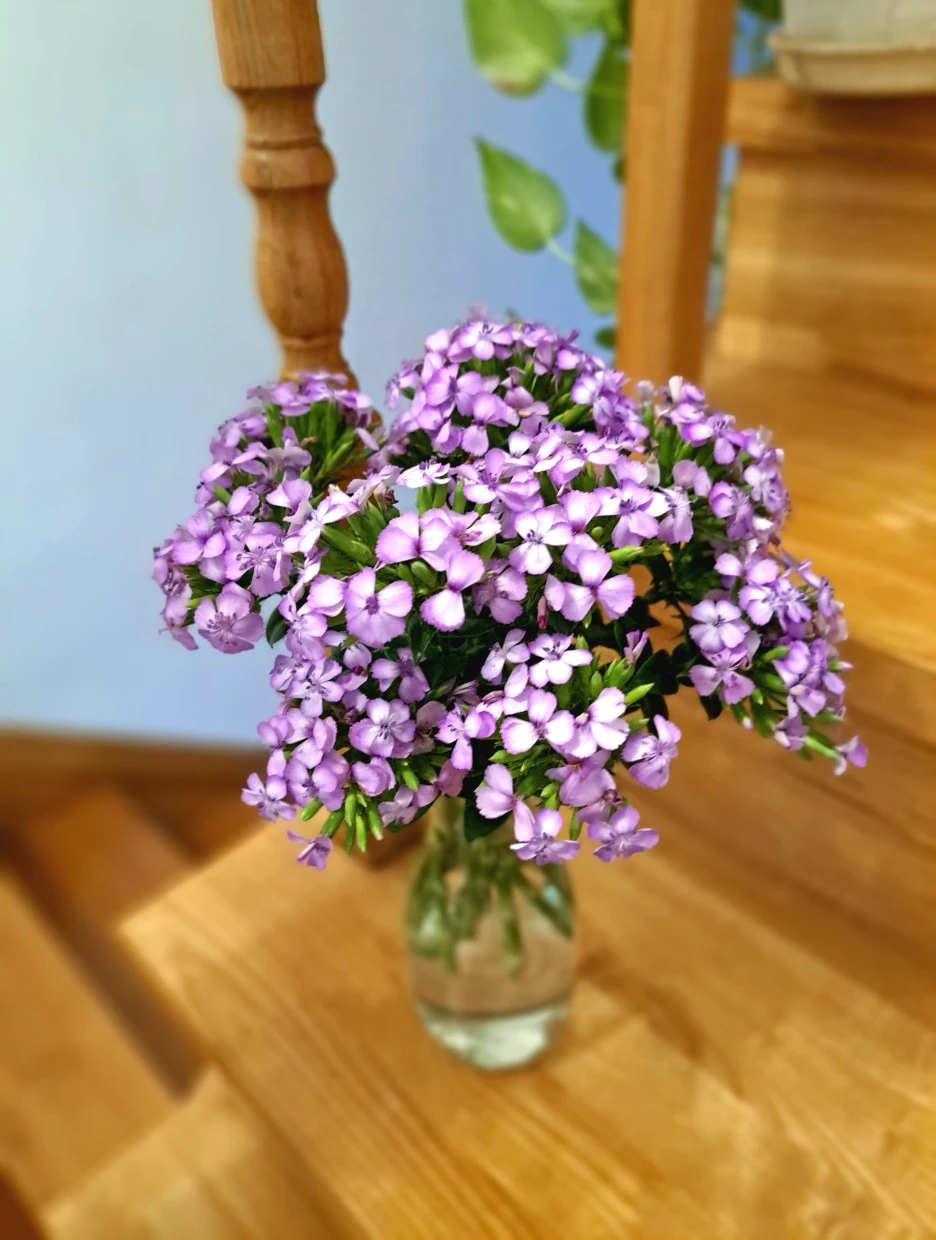 20220807_185025.jpg?type=w1