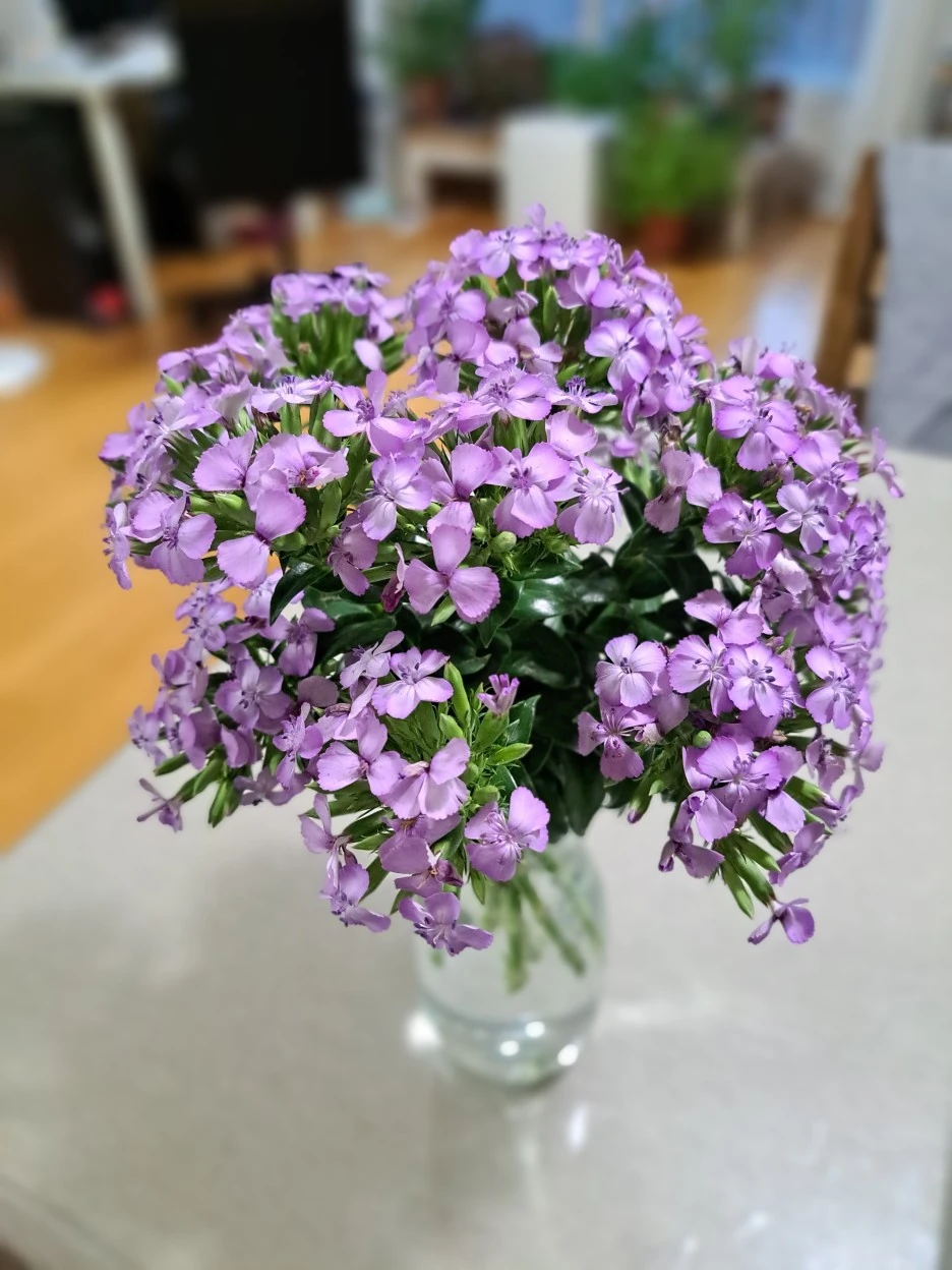 20220807_184848.jpg?type=w1