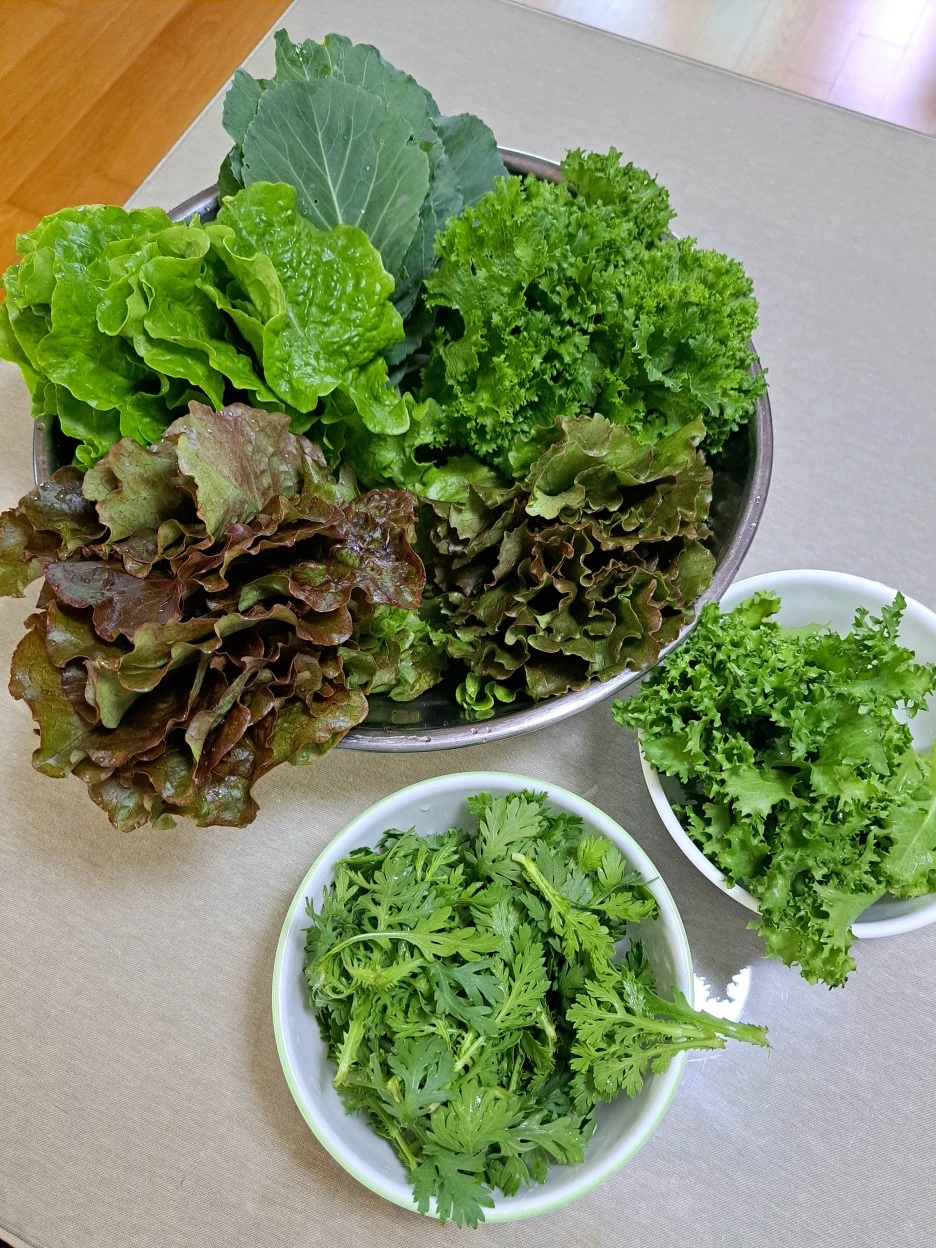 20230531_182919.jpg?type=w1