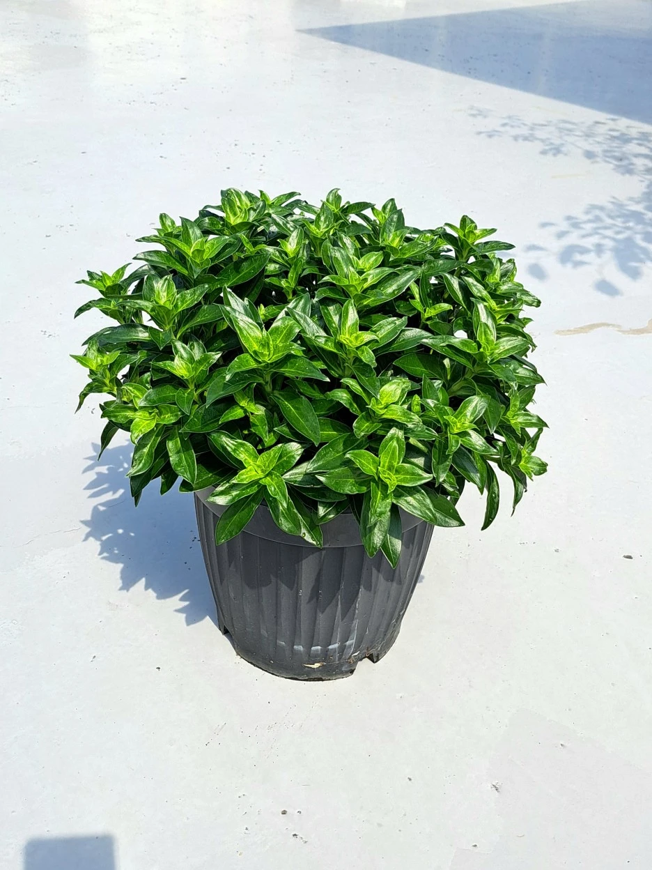 20220613_101939.jpg?type=w1