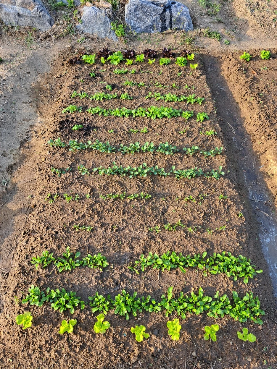 20230427_175205.jpg?type=w1