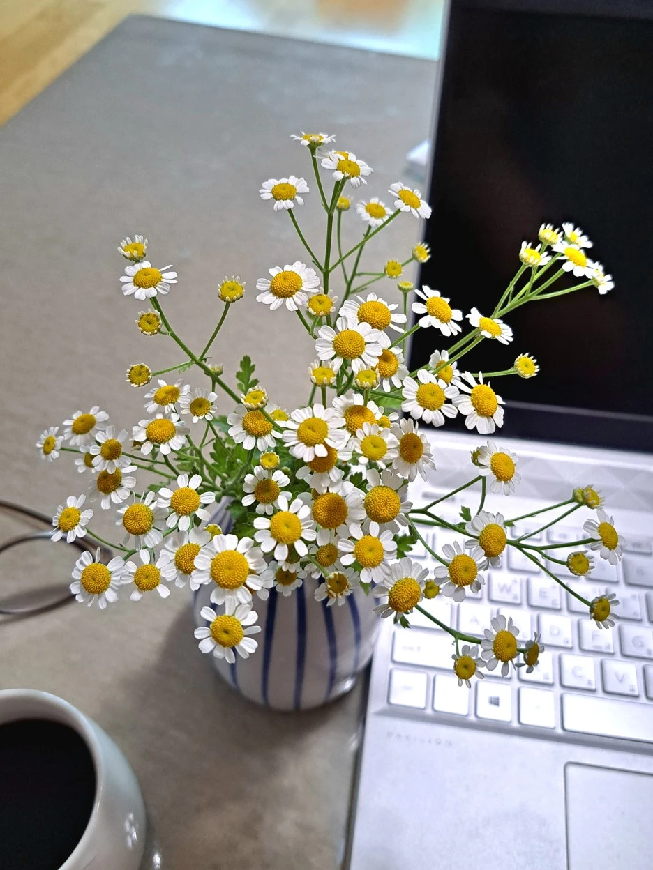 20220623_085458.jpg?type=w1