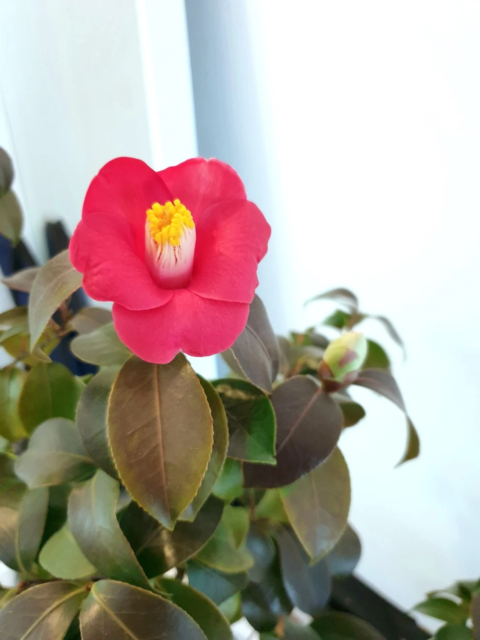 20220223_103020.jpg?type=w1