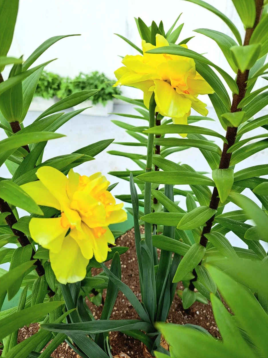 20220521_092915.jpg?type=w1