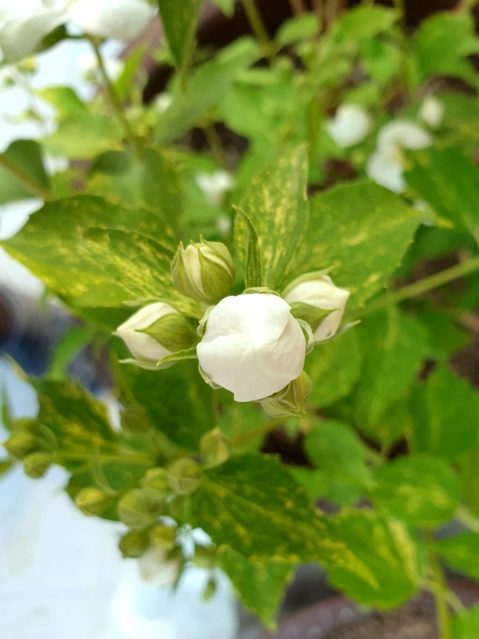 20210514_185713.jpg?type=w1