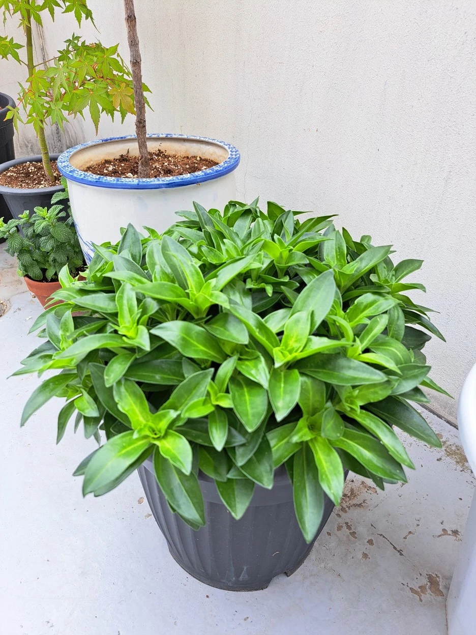 20220529_105508.jpg?type=w1