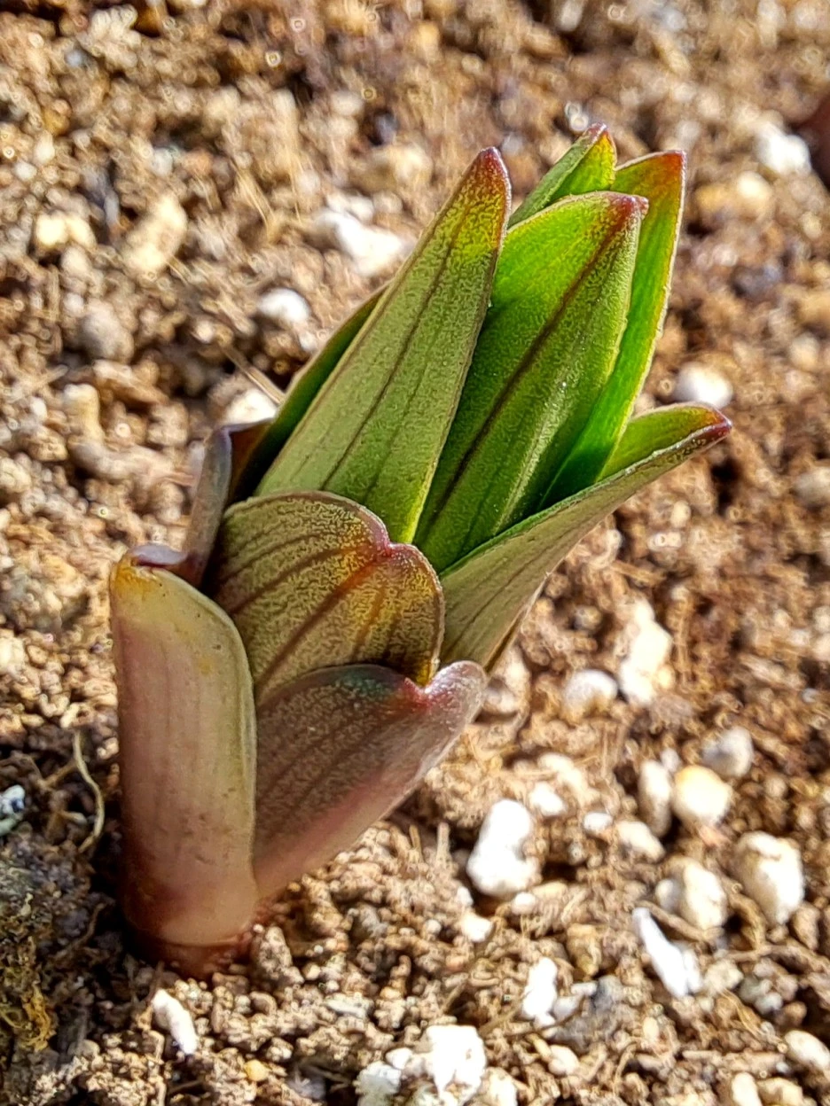 20220410_103329.jpg?type=w1