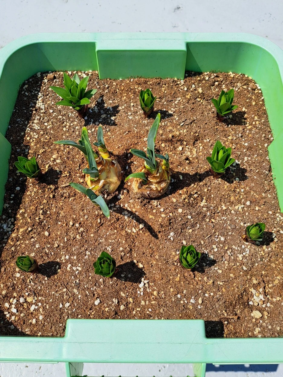 20220416_121338.jpg?type=w1