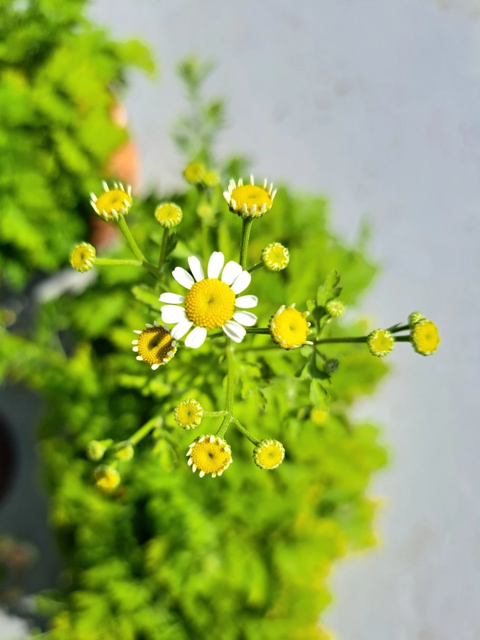 20220614_082916.jpg?type=w1