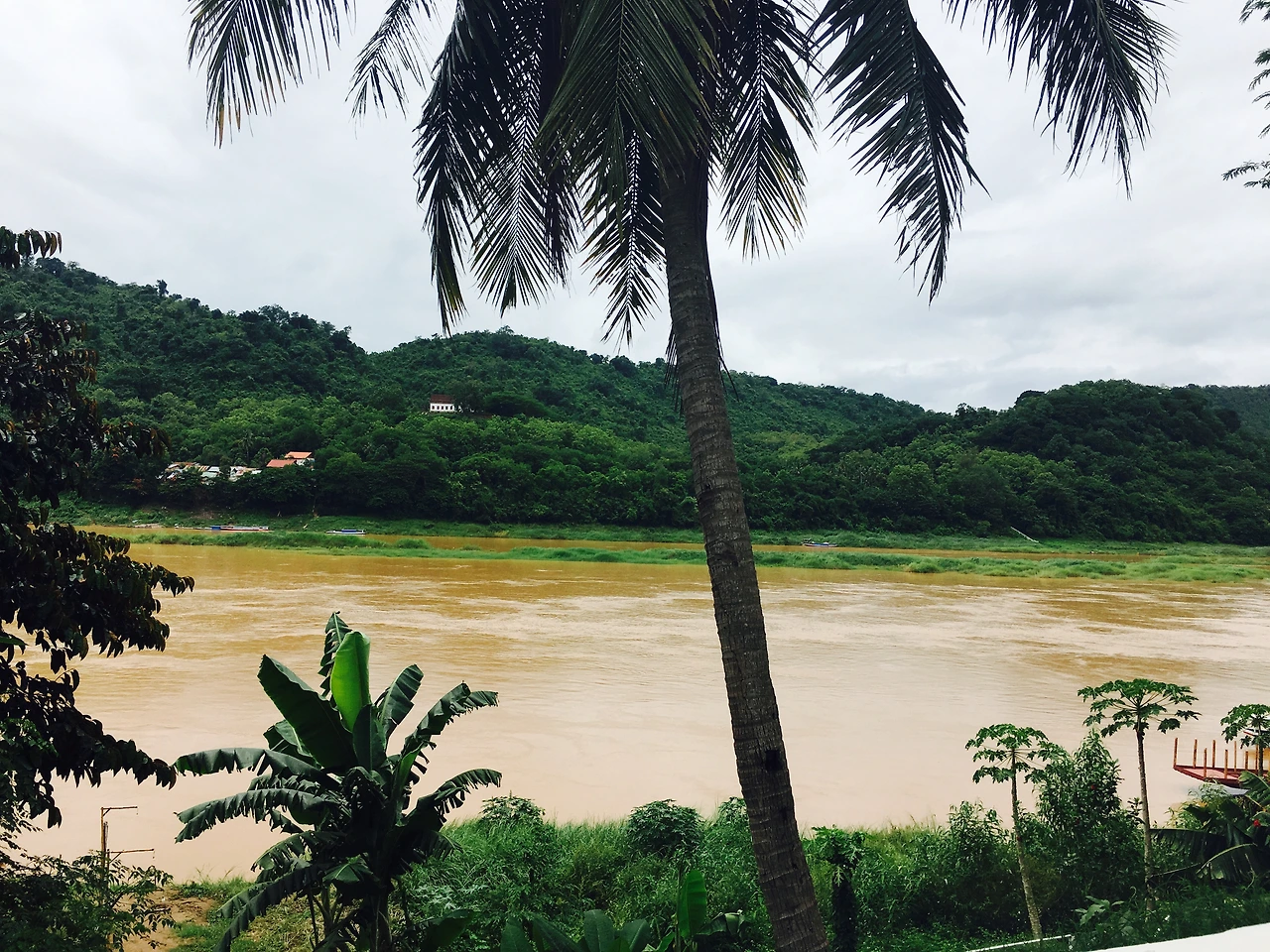 P20170615_133929497_079D7ED6-96AD-4DB0-A8A0-7F2C0E34C037 (1).JPG