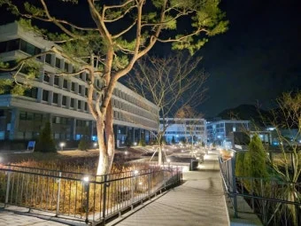 서울대학교 새벽.jpeg