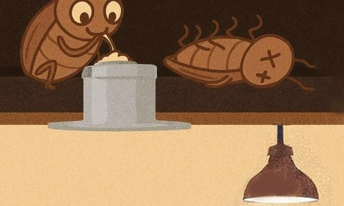 ?src=%22https%3A%2F%2Fcdn3.wadiz.kr%2Fstudio%2Fimages%2F2025%2F09%2F11%2F9748f1f0-a8f7-4b1f-ad72-ab20bb1ee80c.jpeg%22&type=ff500_300